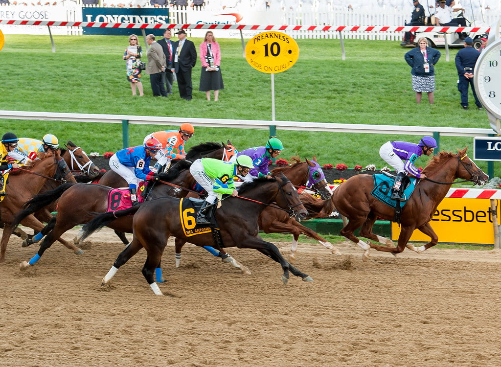 Preakness